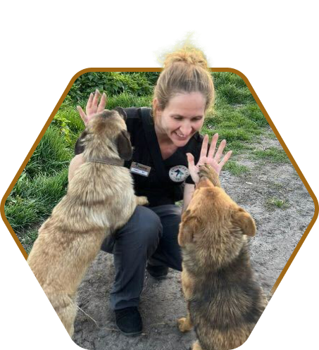 colleen lambo dvm with two dogs photo